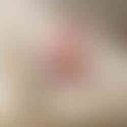 Cluster of soft pink daisy flowers in a delicate and dreamy composition.