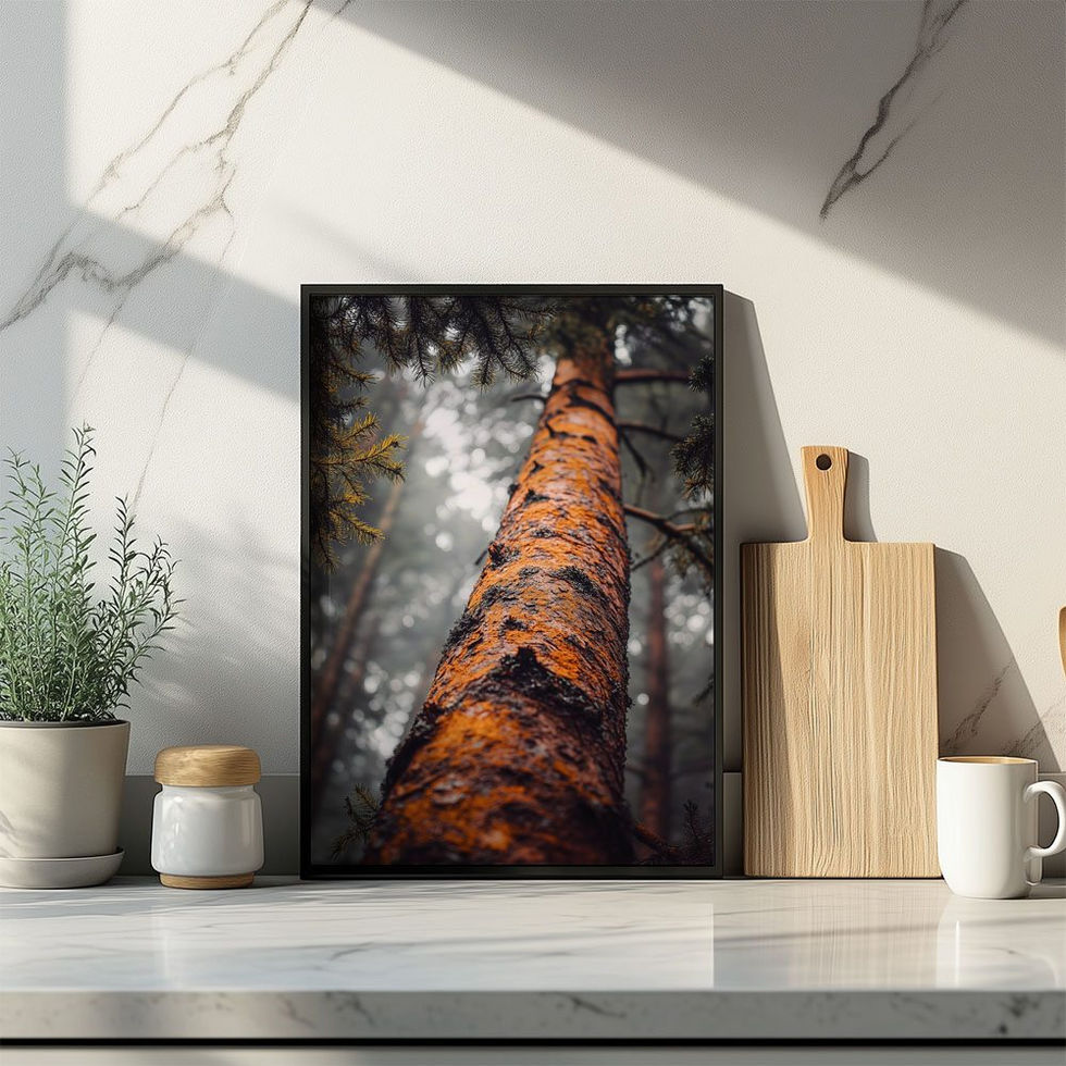 Tall pine tree photographed from below with detailed bark texture