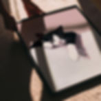 Minimalist illustration of a black and white cat resting on a ledge with a pink background.