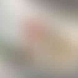 Abstract floral illustration with red, grey, and orange flowers over soft circular shapes on a cream background.