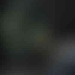 Close-up of bamboo stalks with blurred green forest background