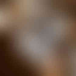 Cute cat art print featuring a playful pattern of fluffy kittens in various colours.