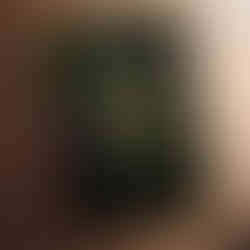 Art print of a skull surrounded by vibrant flowers, insects, and foliage in a dark botanical theme.