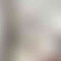 Delicate succulent art print with soft pastel tones — elegant floral decor for nature lovers.