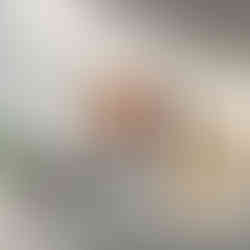 Illustration of dark floral silhouettes in front of a large orange sun