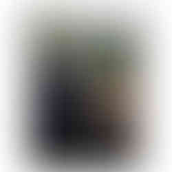 Humorous wildlife art print of a gorilla giving a peace sign next to a tiger posing for a selfie.