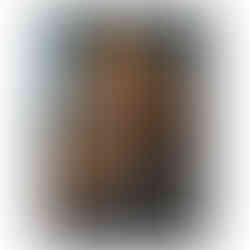 Powerful lion portrait exuding strength and serenity — perfect for animal and nature lovers.