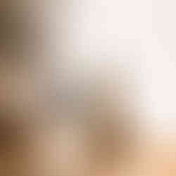 Colourful watercolour Saint Bernard portrait with vibrant rainbow paint splashes