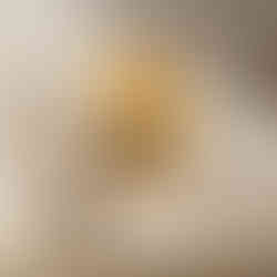 Cute minimalist black and orange hedgehog illustration on a beige background.