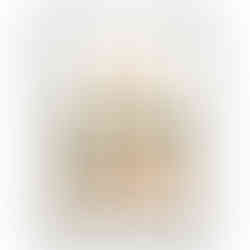 Three stylised potted plants with green and orange leaves in earthy-toned pots – minimalist modern botanical art print.