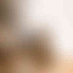 Rustic landscape art print of a brown horse grazing in a sunlit meadow with trees in the background.