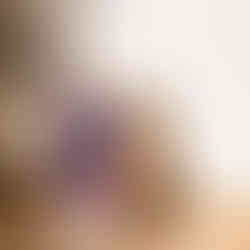 Colorful cat portrait art print with vivid blue, purple, and orange brushstroke textures.