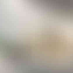 Three stylised potted plants with green and orange leaves in earthy-toned pots – minimalist modern botanical art print.