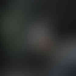 Abstract red and blue watercolour flowers on a white background.