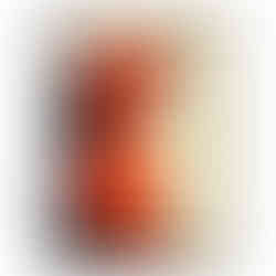 Illustrated dachshund art print with vibrant red-orange colouring and sketch-style details.