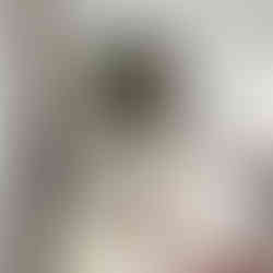 Nature close-up of a rugged pine tree in a lush forest — earthy, grounding, and serene.