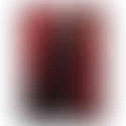 Armored lion standing proudly in a red cloak with a glowing red moon behind, fantasy warrior artwork