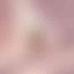 Japanese minimalist botanical artwork with sun shapes and leaves