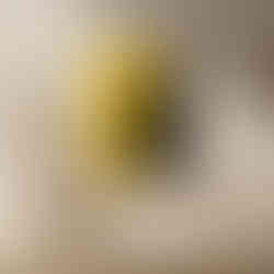 Black cat silhouette artwork with bright yellow background and intense yellow eyes looking up.