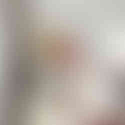 Japanese minimalist botanical artwork with sun shapes and leaves