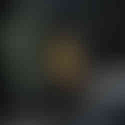 Cute minimalist black and orange hedgehog illustration on a beige background.