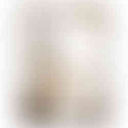 Abstract silhouette of a woman in a beige dress with soft curved background shapes in neutral tones.