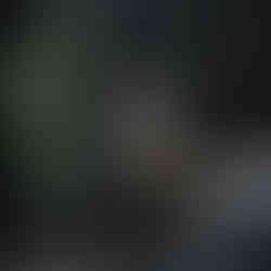 Minimalist Japanese torii gate with mountains, tree branch, and beige sun in ink-wash painting style.