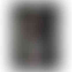 Dog wearing a flat cap and suit, vintage styled dog portrait art print