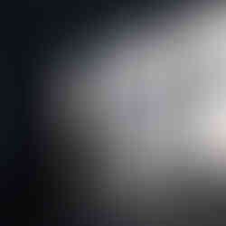 Abstract black and white art print of a cat in profile with textured brush strokes and layered effects.