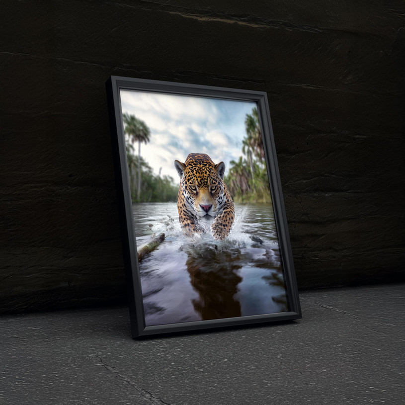Jaguar charging through water in the jungle with splashes and forest background.
