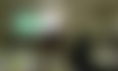 H29.3.15　『チームに貢献するフォロワーシップのあり方～優秀なメンバーが成果を決める～』を開催しました。