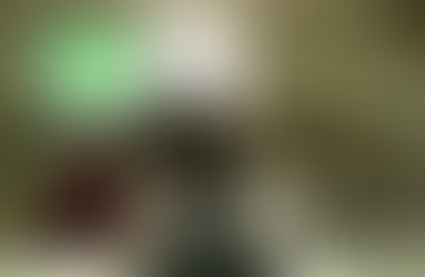 H29.2.2　『スタッフをカエル！チームをカエル！職場のリーダーシップ』を開催しました。