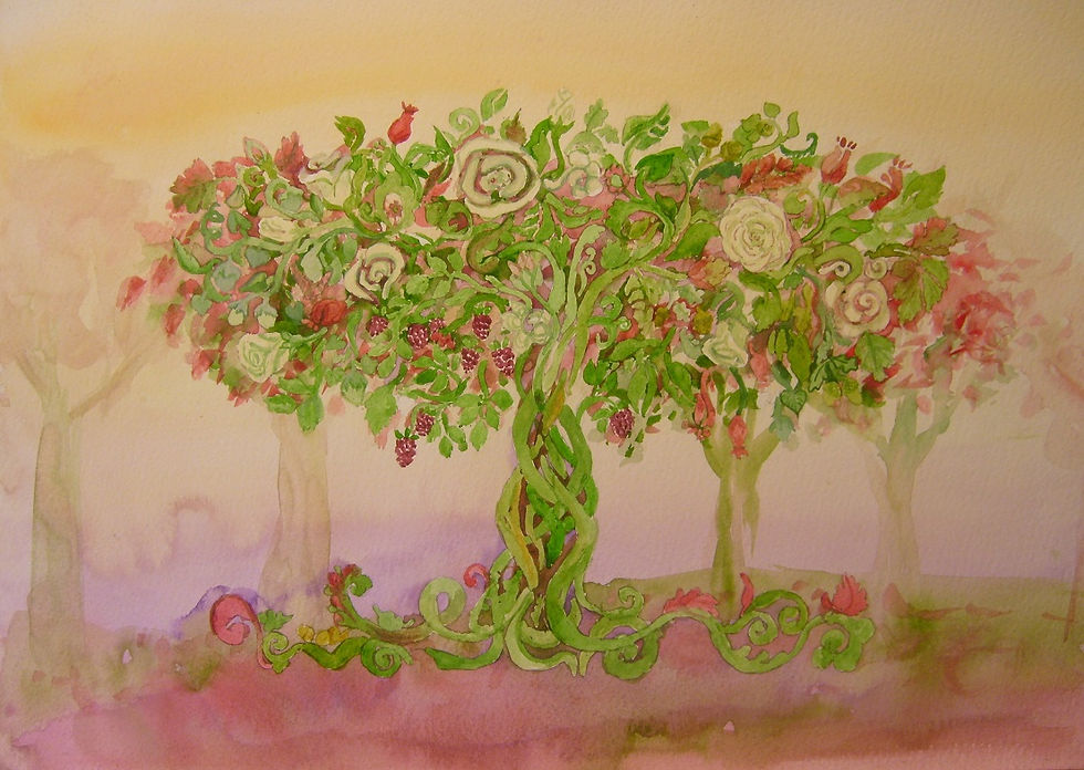 Magic Tree Series