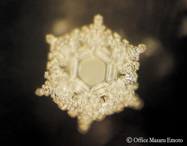 Image from alivewater.ca shows water crystals formed from the words "love" and "gratitude"