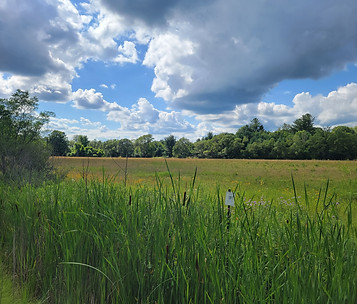 Anderson Natural Area.jpg