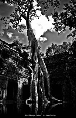 CAMBODIA