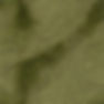 topographic map olive drab and black in color add numbers for elevation lines_edited.jpg