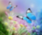 花と青い蝶