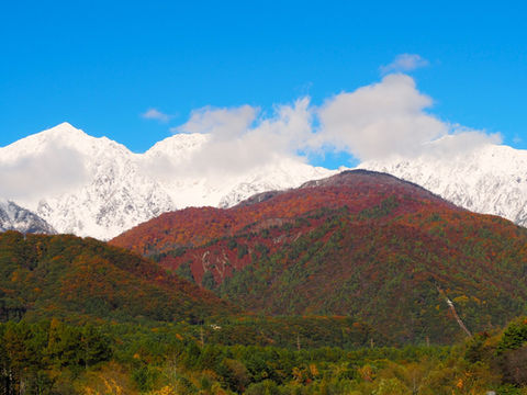 白馬村　秋