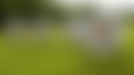 Managing the Pressure of Homeschooling as a Mum: Finding Balance