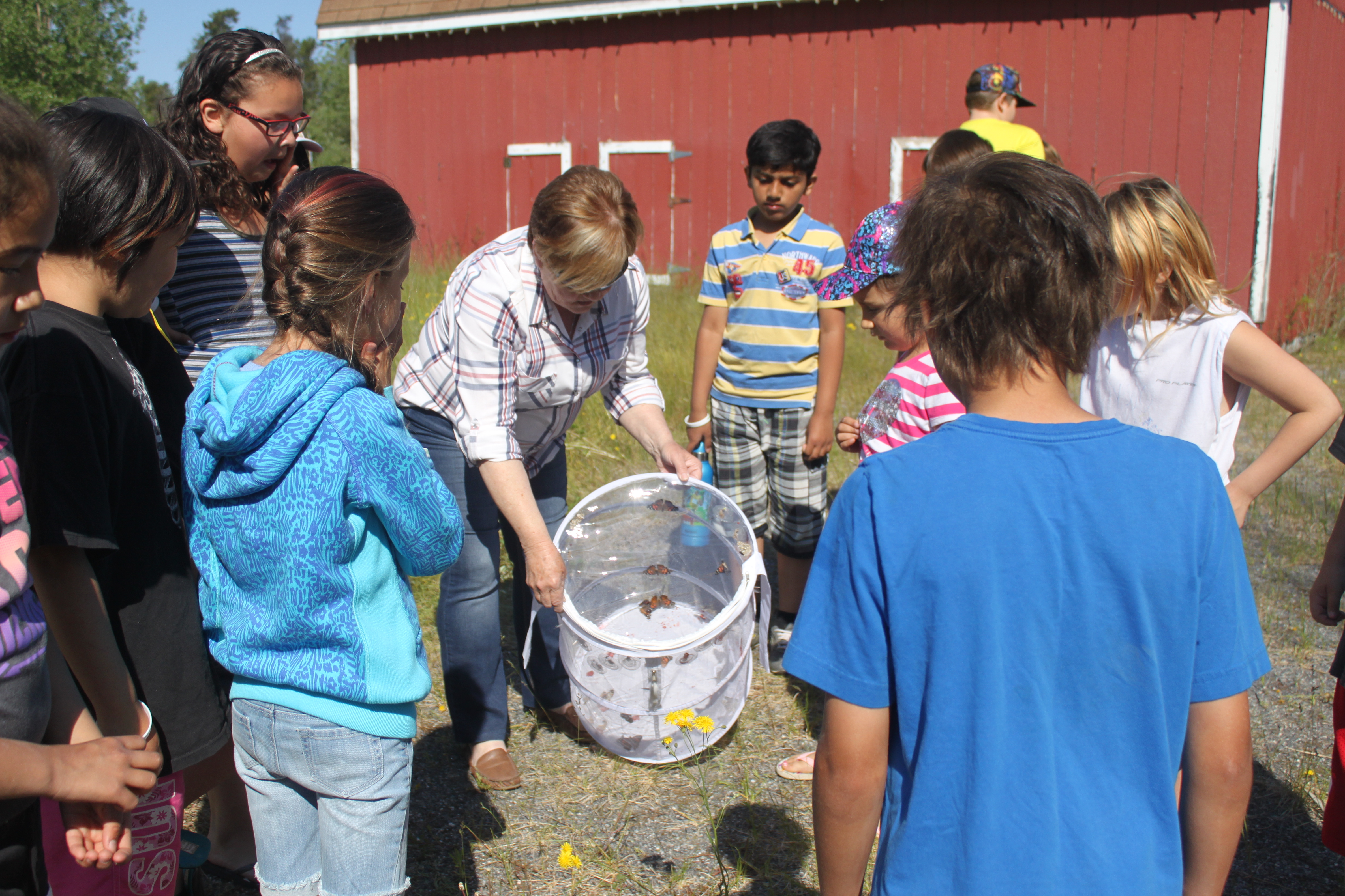 Butterfly Release
