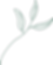 Matcha Leaf Illustration (1).png