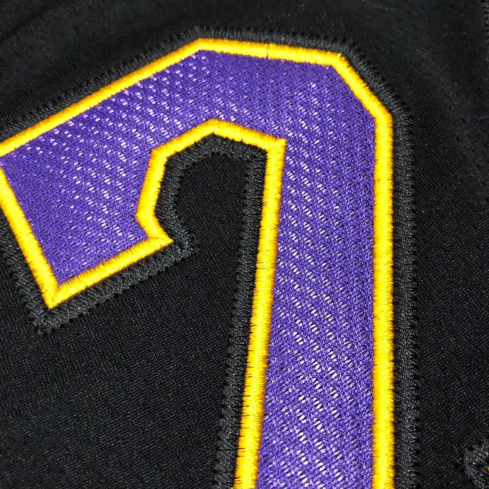 Thumbnail: Los Angeles Lakers MN 2009-10 (Hardwood Classic)