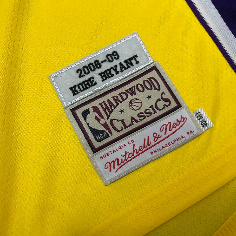 Thumbnail: Los Angeles MN 2008-09 (Hardwood Classic)