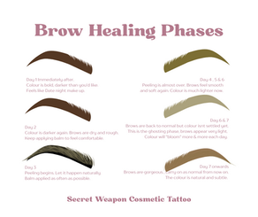 Brows Healing Phases