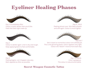 Eyeliner Healing Phases