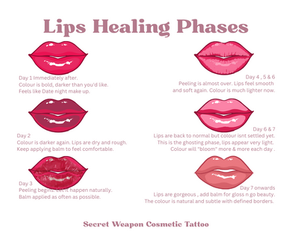 Lip Healing Phases