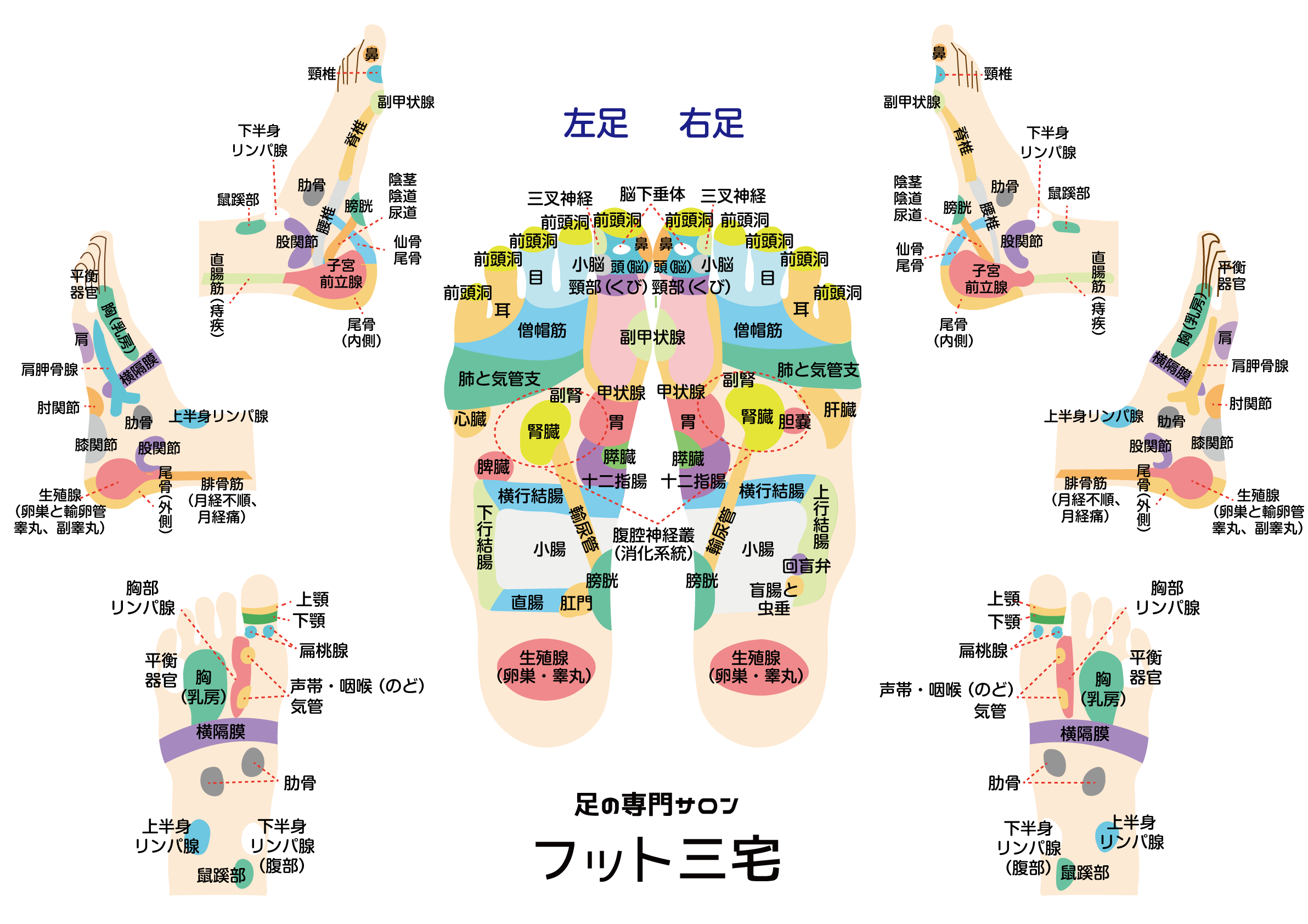 足の専門サロン フット三宅の足の反射区表