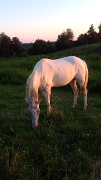 IMG_20200808_203010_STEREO.jpg