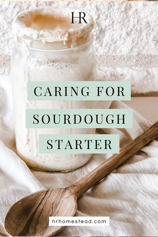 How to Take Care of Your Sourdough Starter